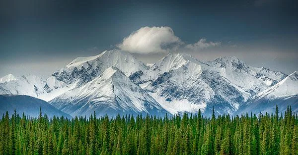 Captivating Views: The Panorama of World Alaikas